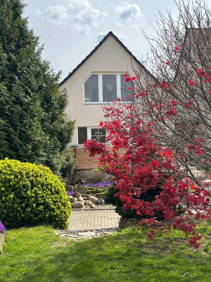 Ferienhaus Harzvorland Ballenstedt Zewnętrze zdjęcie